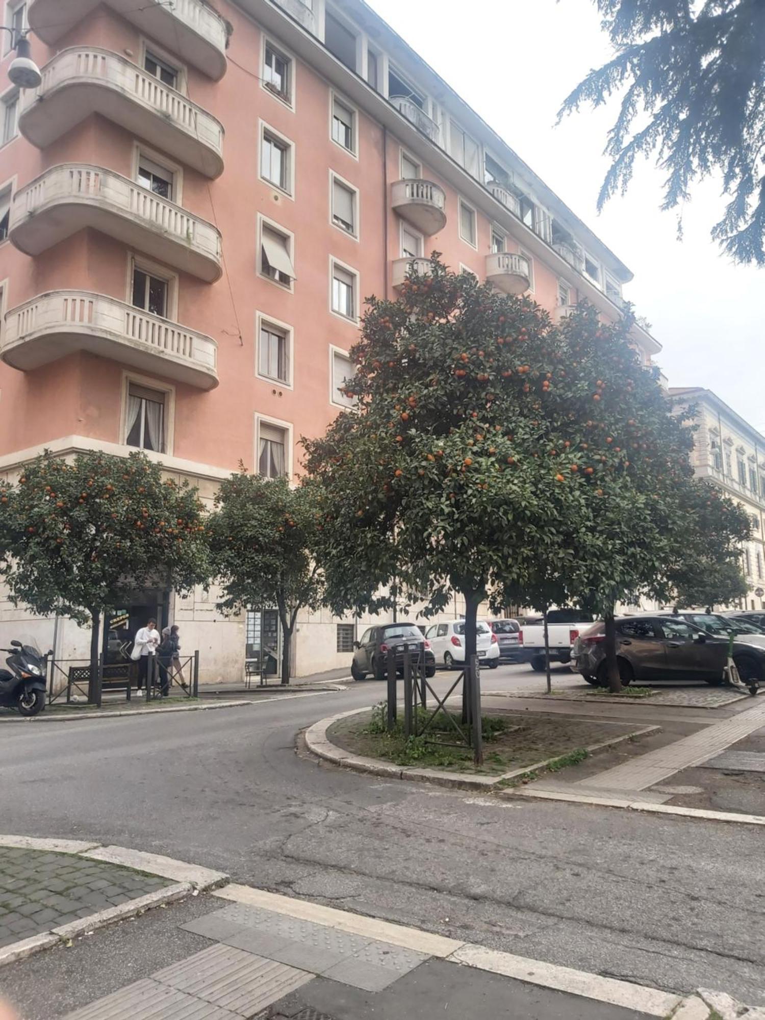 Bed and Breakfast Holiday Colosseum Rzym Zewnętrze zdjęcie